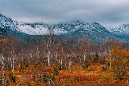 Autumn arctic landscape. View of the misty snow-capped mountains and autumn colorful tundra in the Arctic,Kola Peninsula. Mountain hikes and adventures. Austere, cold atmosphere. 