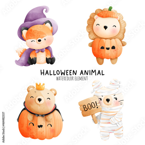 Photography Digital painting watercolor Halloween Animal, Festive animal woodland