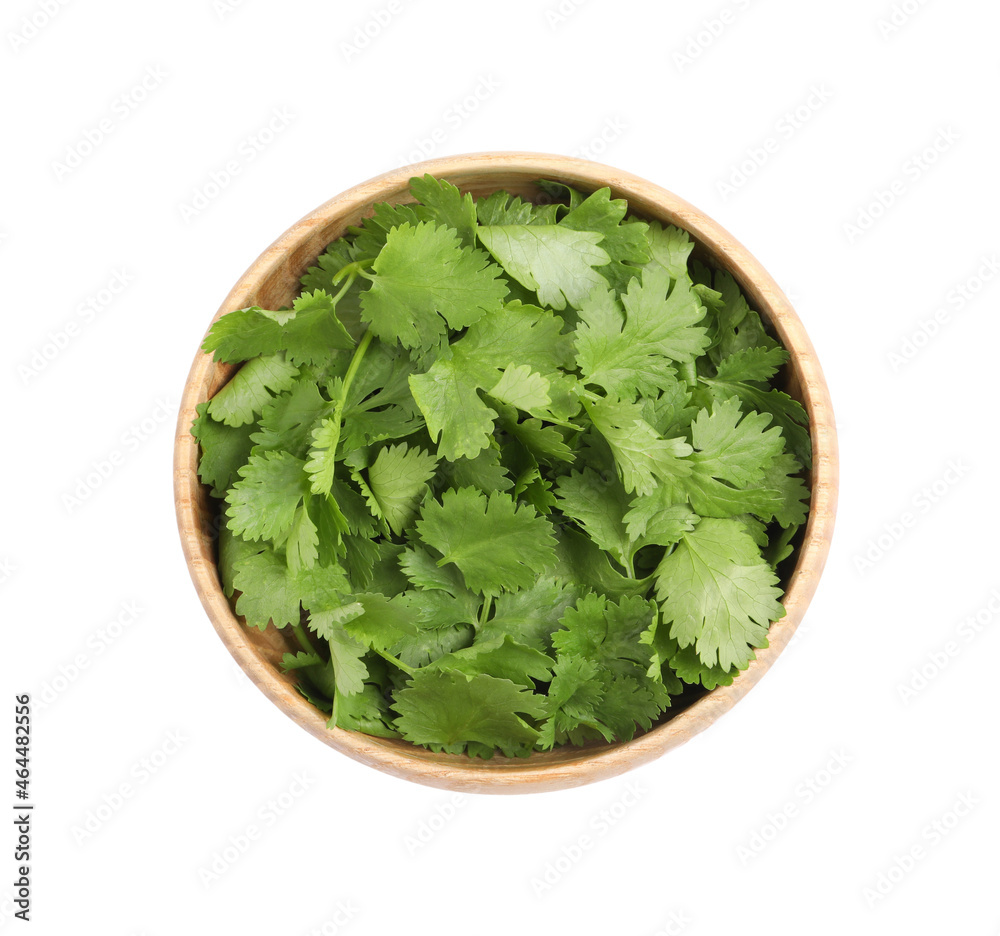 Bowl with fresh green coriander leaves isolated on white, top view Bowl with fresh green coriander leaves isolated on white, top view