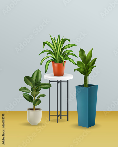 Realistic Plants House