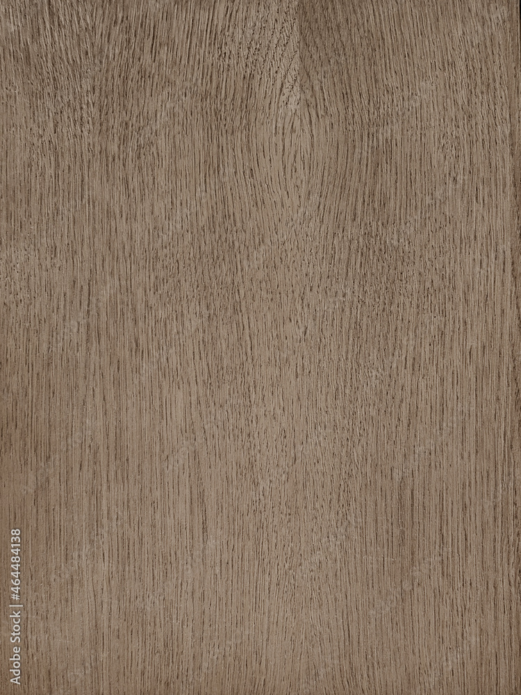 beige oak texture for design, rough structure, pattern beige oak texture for design, rough structure, pattern