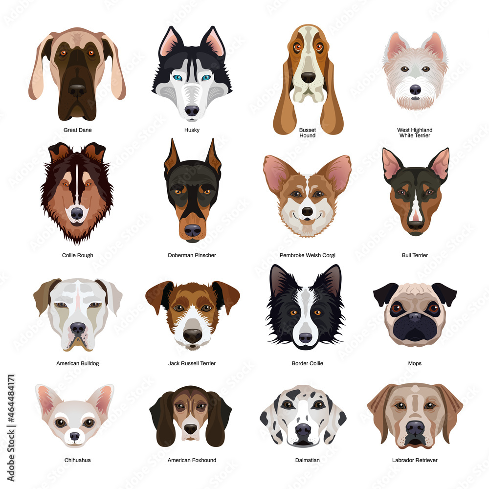 Dogs Breeds Set Dogs Breeds Set