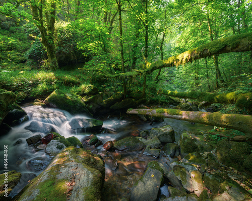 A stream rushes into a steep valley among a chaos of rocks and fallen logs in the Courel Mountains Unesco Geopark in Galicia