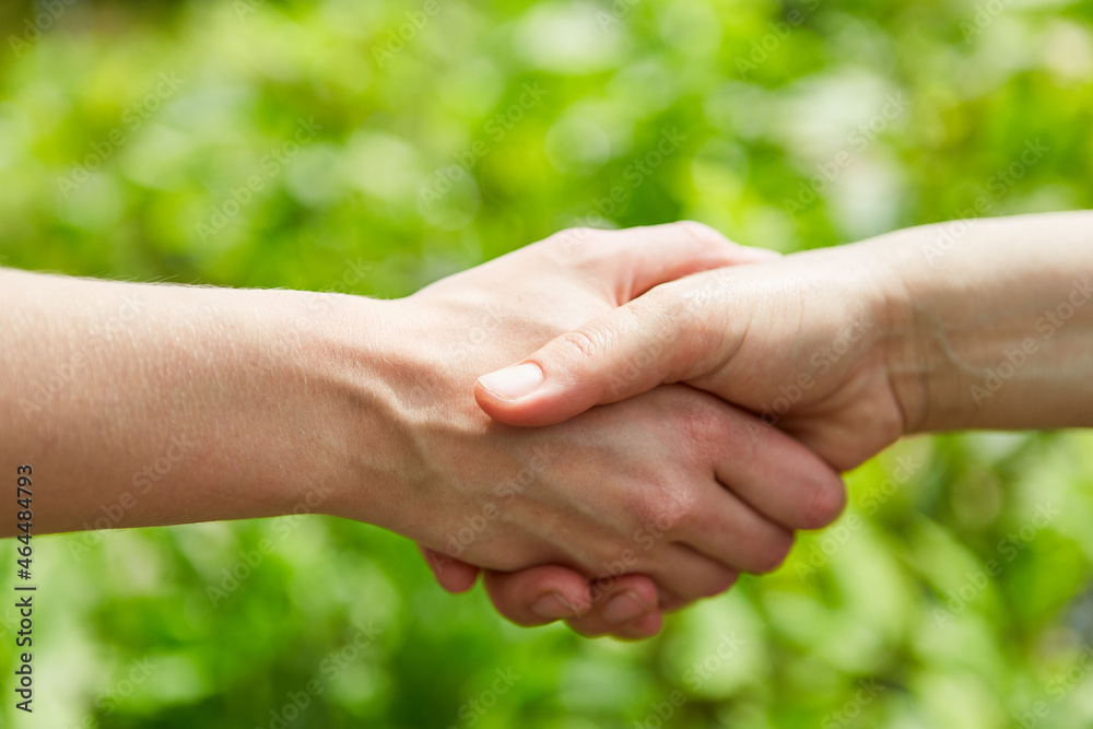 Two people shaking hands or shaking hands Two people shaking hands or shaking hands