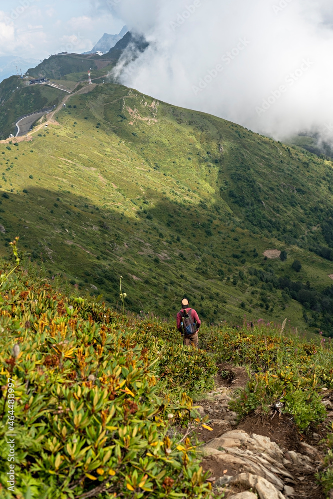 Young man with a backpack walking in the Caucasus green mountains among the bushes of rhododendron , active and healthy lifestyle, landscape
