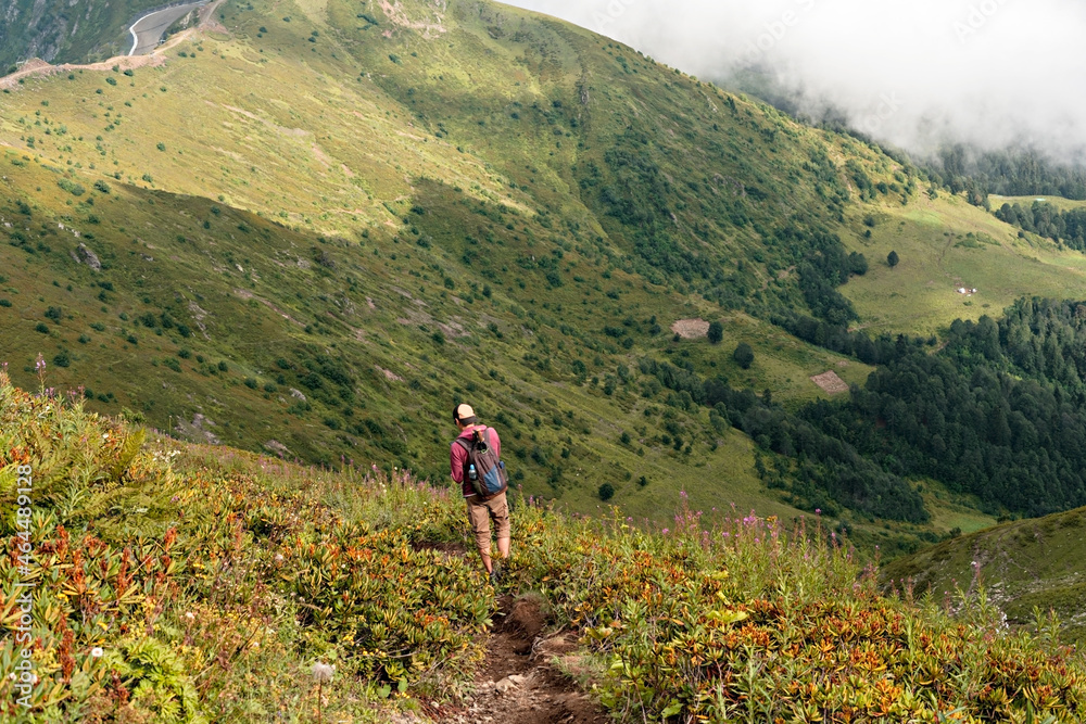 Young man with a backpack walking in the Caucasus green mountains among the bushes of rhododendron , active and healthy lifestyle, landscape