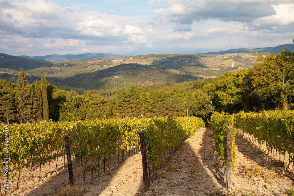 Naklejka premium Chianti vineyard evening landscape in Tuscany, Italy, Europe at sunset.