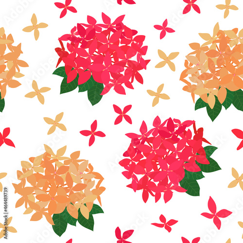 red peach orange Ashoka Asoka seamless pattern. exotic flowers in summer spring autumn tropical garden for fabric, dress, textile, paper, kimono, pajamas, stationary, clothing, etc. photo