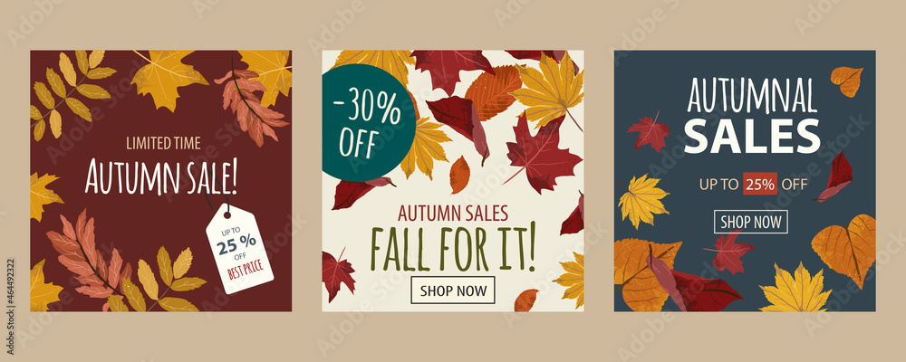 Autumn season sales banners. Set of square offer leaflets with fall leaves, labels and discount texts. Blue, golden, brown, orange and red tones. Maple leaf backgrounds. Vectorized and flat design.