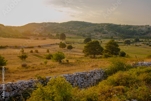 landscape in the mountains