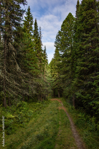 Roads and trails of the Samarovsky Chugas natural park. Samarovsky Chugas Natural Park in Khanty-Mansiysk in Russia.