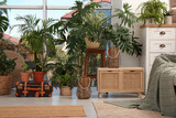 Stylish living room with beautiful plants. Interior design