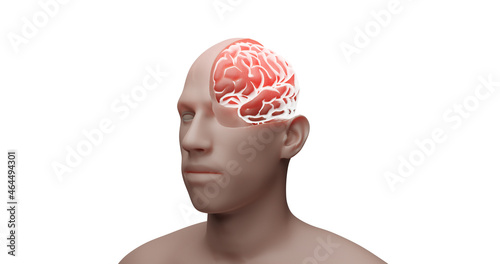 3D illustration render of a human brain burning red. Incision of the head, inside the skull. Pain, inflammation, cancer, metastases in the head. MRI, X-ray, diagnosis