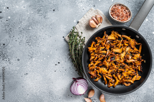 Fried chanterelle mushrooms with onions and thyme in a skillet. Gray background. Top view. Copy space photo