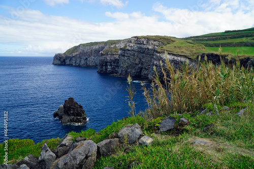 natural green scenery on the azores islands