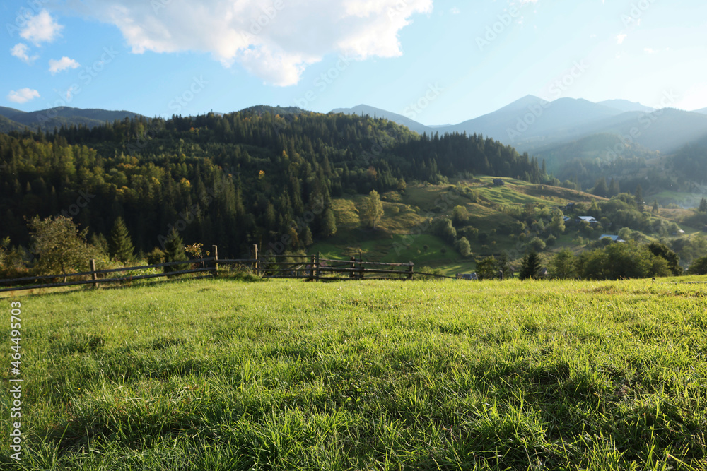 Obraz premium Beautiful landscape with green pasture on mountain hill in morning