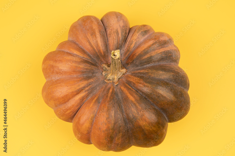 Top view flat lay autumn composition. Frame concept pumpkins color paper background Top view flat lay autumn composition. Frame concept pumpkins color paper background