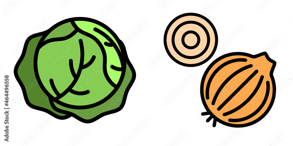 cabbage and onions Vector illustration of vegetables. Eco-friendly food. Vegetarian food cabbage and onions Vector illustration of vegetables. Eco-friendly food. Vegetarian food