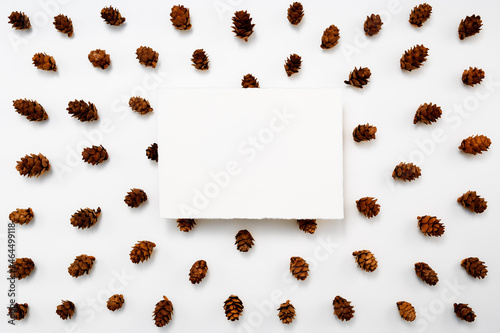 Autumn, winter or Christmas greeting card mockup. White, blank, handmade sheet of paper on a background of pine cones. Table top view, flat lay, copy space.