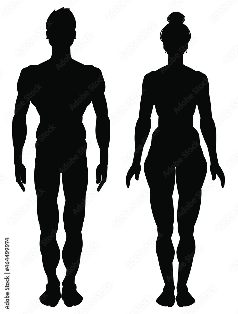 silhouette of man and woman - vector illustration of a figure of a man and a figure of a woman. Body silhouette, anatomy, muscles, full-length figure