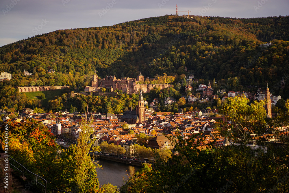 Heidelberg Blick vom Philosophenweg auf Schloss und Altstadt