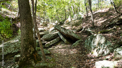 Hiking Trail at Devil s Den State Park  Arkansas