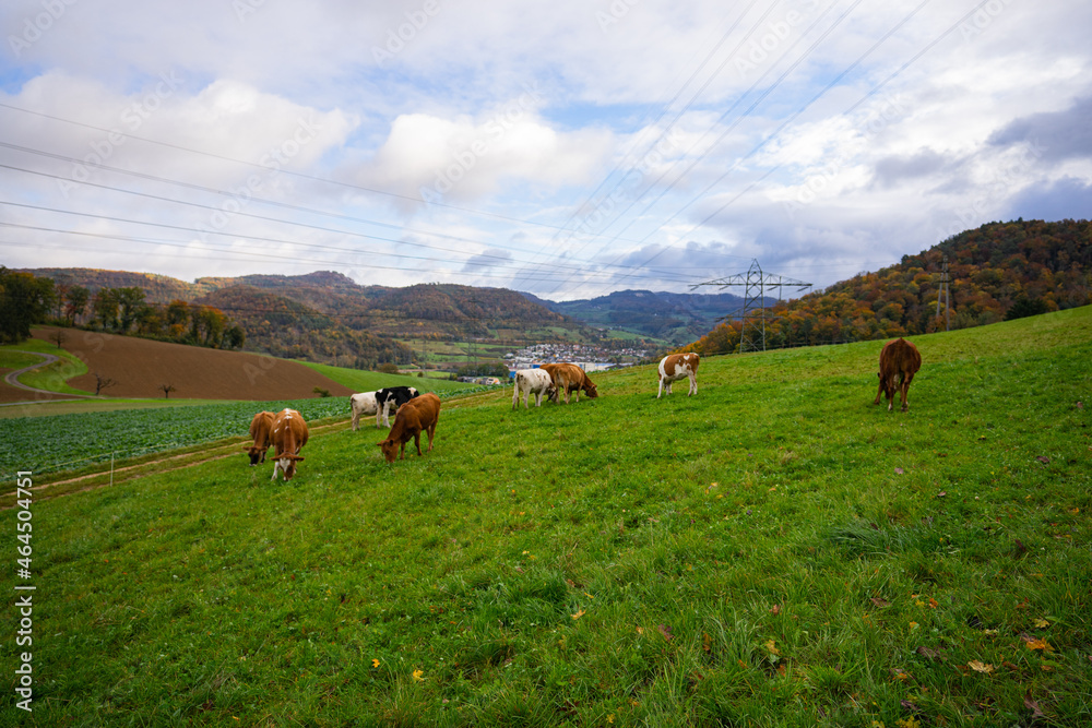 landscape in the mountains in Switzerland