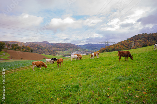 landscape in the mountains in Switzerland