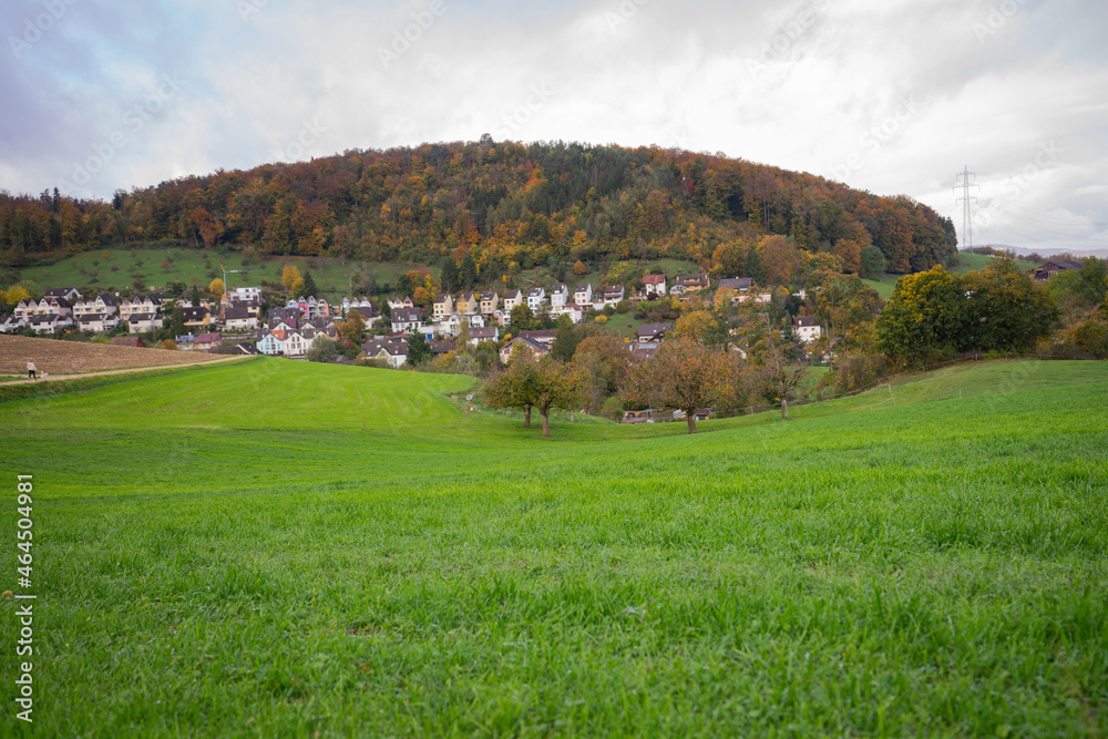 landscape in autumn in Switzerland