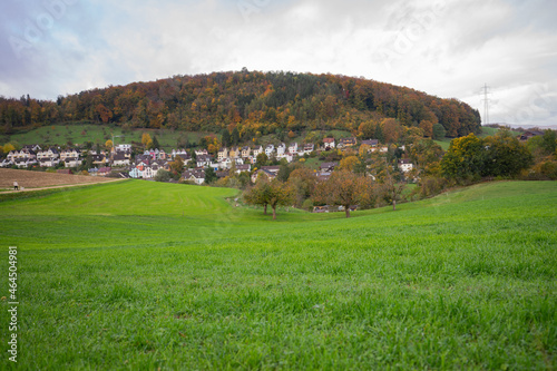 landscape in autumn in Switzerland © nurten