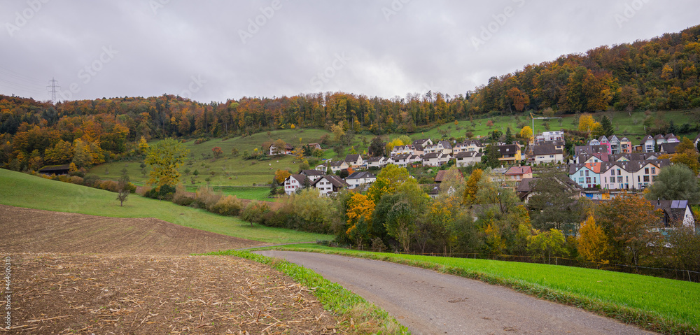 autumn landscape with road in Switzerland