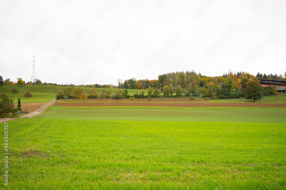 field and sky in Switzerland field and sky in Switzerland