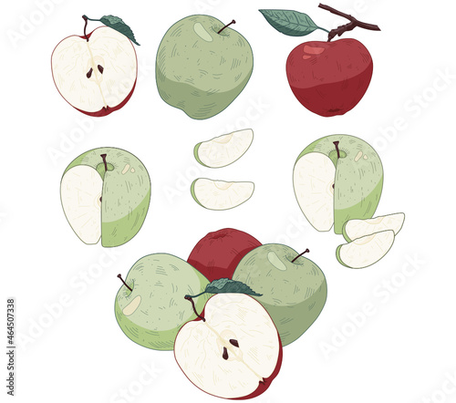 Hand drawn vector apple set colored