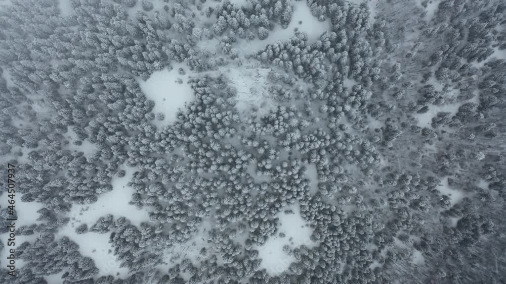 Aerial top down shot of winter forest in Snow. White frozen trees. Beautiful snowy background. Magnificent winter nature landscape. Flying above Tree tops Aerial top down shot of winter forest in Snow. White frozen trees. Beautiful snowy background. Magnificent winter nature landscape. Flying above Tree tops