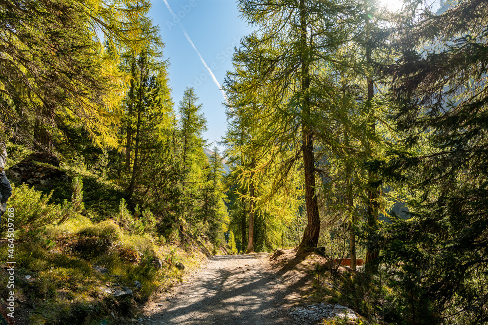 Fototapeta premium Herbst in den Bergen