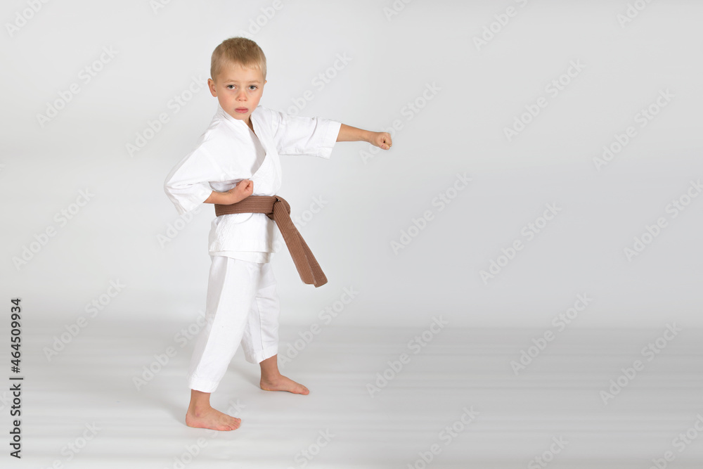 Little baby boy in karate kimono isolated on white background. The concept of martial arts, karate, judo, sports since childhood, discipline. Defence concept with copy space. Little baby boy in karate kimono isolated on white background. The concept of martial arts, karate, judo, sports since childhood, discipline. Defence concept with copy space.