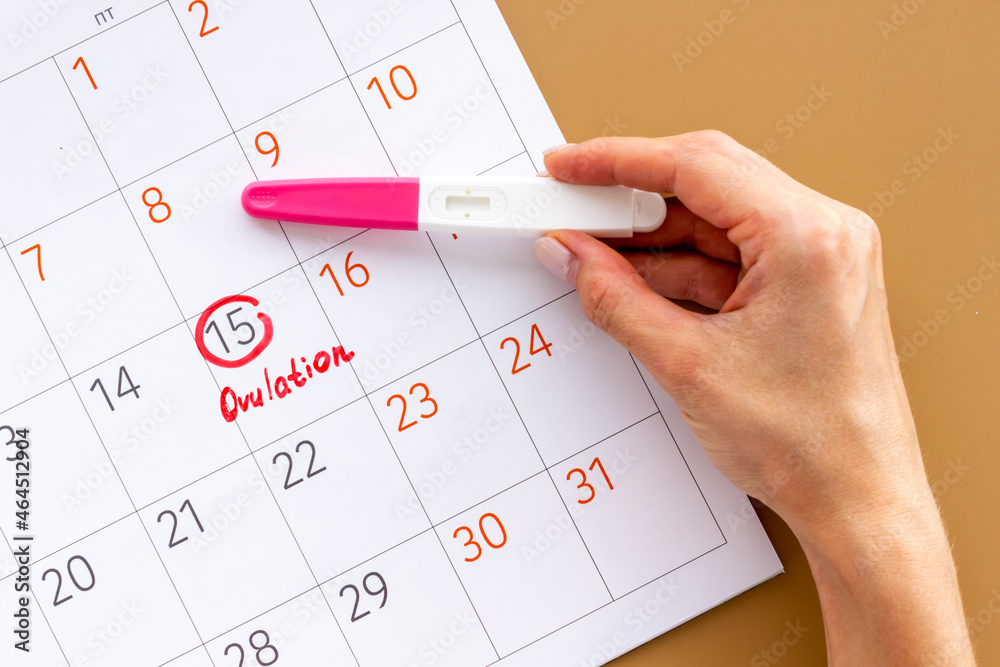 Ovulation home test in female hand over calendar with red mark Ovulation home test in female hand over calendar with red mark