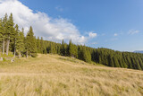 wide panorama with mountain landscape of peaks. walk in nature