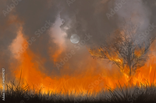 Flame of big fire in grass field in dry season in Asia