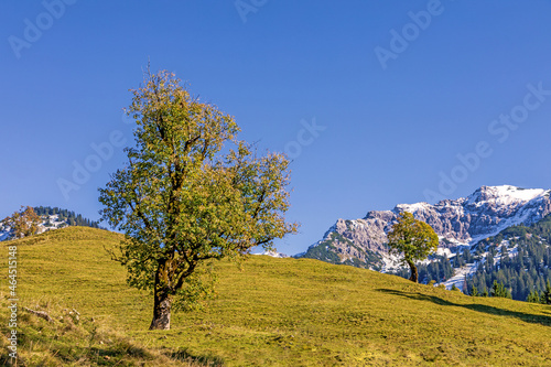 Allg  u - Hinterstein - Herbst - Bad Hindelang - Alpen - malerisch - Oktober