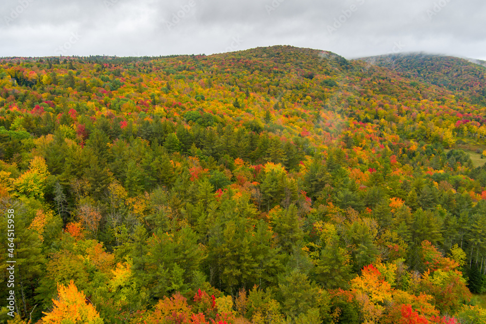 Aerial drone view of autumn trees in Vermont with dense colorful leaves.