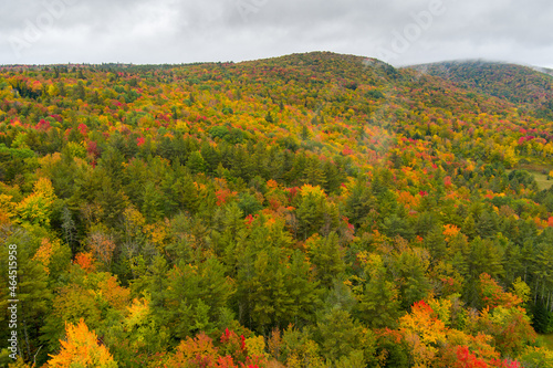 Aerial drone view of autumn trees in Vermont with dense colorful leaves.