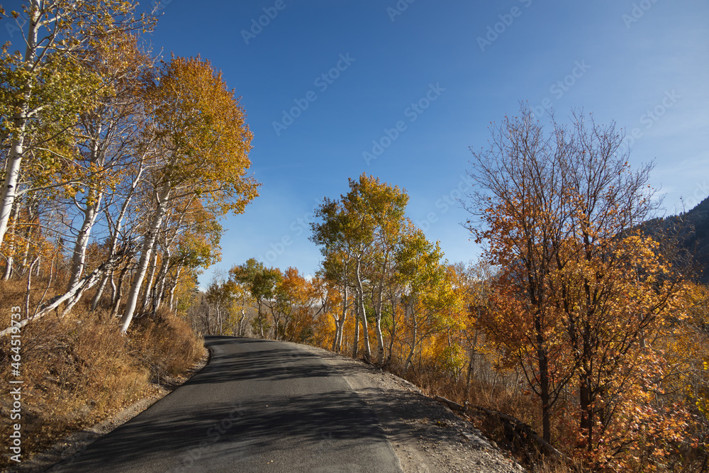 Naklejka premium Alpine Loop Scenic Byway, Utah, USA