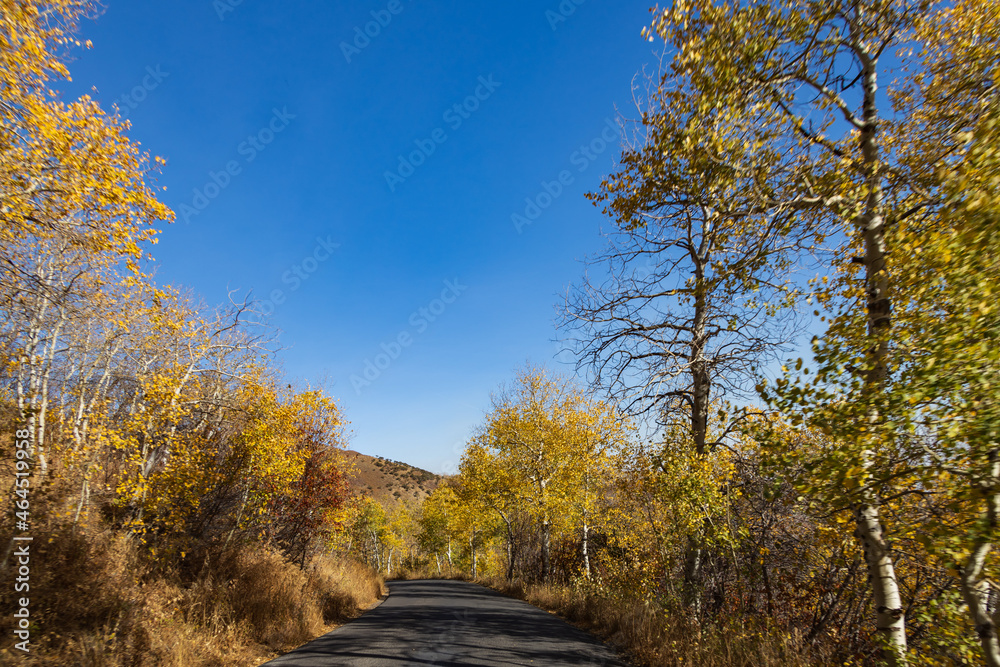 Alpine Loop Scenic Byway, Utah, USA Alpine Loop Scenic Byway, Utah, USA
