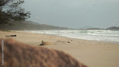 Low azure sea waves slowly wash over wild sandy shore under cloudy sky with rocks on foreground on quiet gloomy day in Vietnam