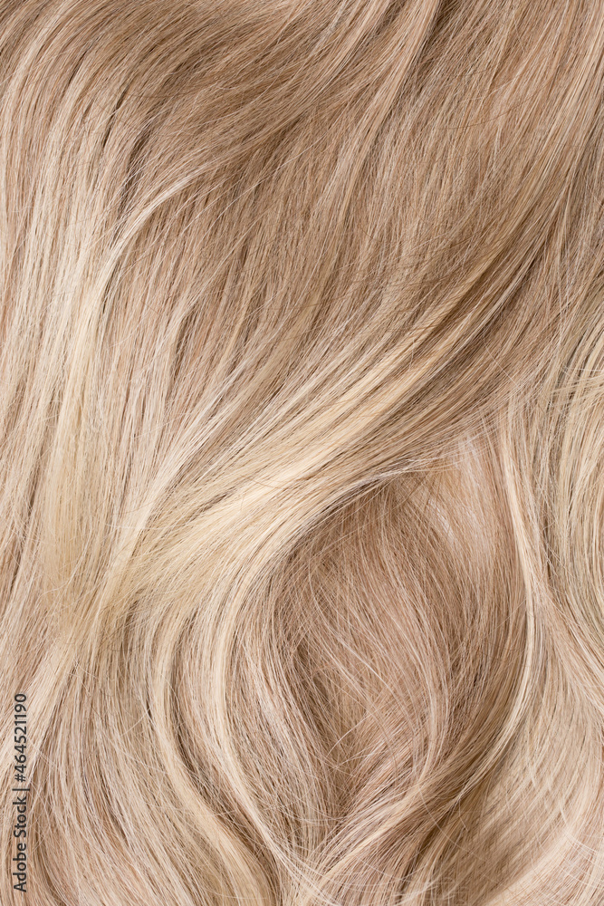 Background hair closeup. Female long blond hair close-up as a background. Beautifully laid wavy shiny curls. Hair coloring. Hairdressing procedures. Copy space with space for text. Background hair closeup. Female long blond hair close-up as a background. Beautifully laid wavy shiny curls. Hair coloring. Hairdressing procedures. Copy space with space for text.