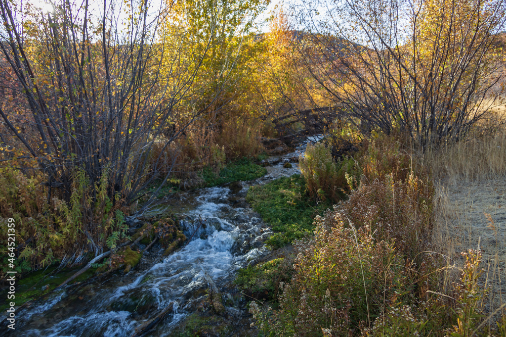 Cascade Springs, Utah, USA