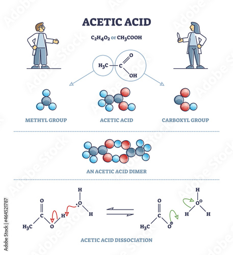 Acetic acid formula or vinegar substance chemical description outline diagram. Labeled educational compound detailed explanation with structure and dissociation process scheme vector illustration.
