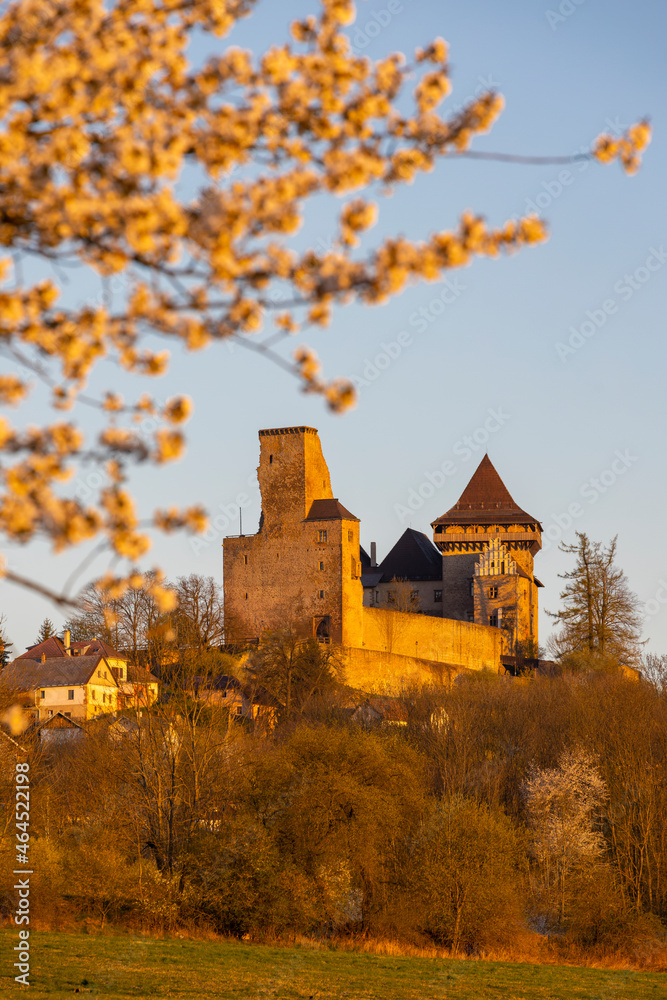 Obraz premium Lipnice nad Sazavou castle, Vysocina region, Czech Republic