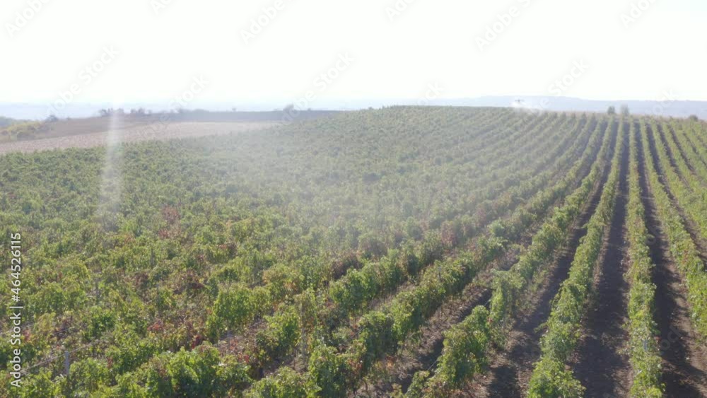 Drone Spraying over Field of Vine Digital Industrialization modern Technology Future of Agriculture Innovation Methods Drone Spraying over Field of Vine Digital Industrialization modern Technology Future of Agriculture Innovation Methods